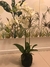 PLANTA ARTIFICIAL