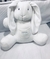 CONEJO DE PLUSH BLANCO