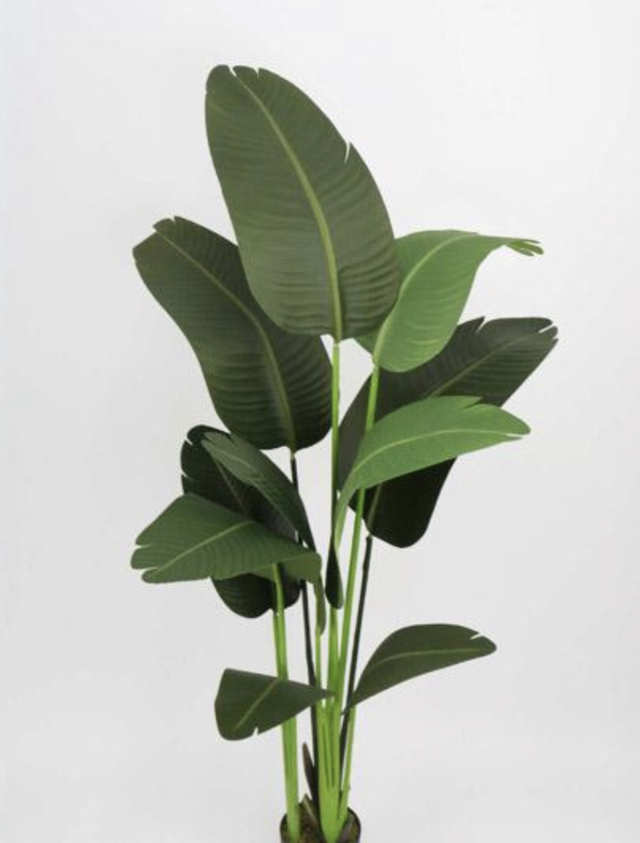 Planta Artificial Strelitzia 1,60 MT - JAZTTO STORE'S