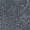 IX1001