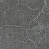 IX1003