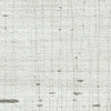 APX-LEO-02 (Mylar)