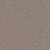 TLL48906