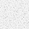 TLL49605