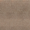 TN1