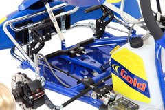 chasis karting completo gold DD2 Rotax Righetti ridolfi