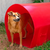 Túnel para cachorro Agility Pet - comprar online